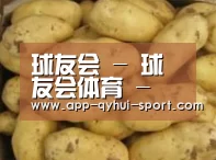 产品展示标题6