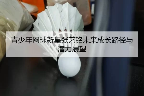 青少年网球新星张艺铭未来成长路径与潜力展望